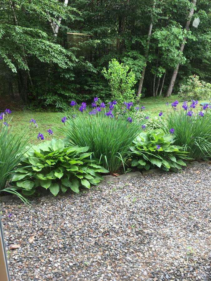 Blueberry Fields Bed & Breakfast Jefferson Eksteriør billede